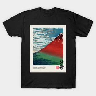 Fine Wind Poster T-Shirt